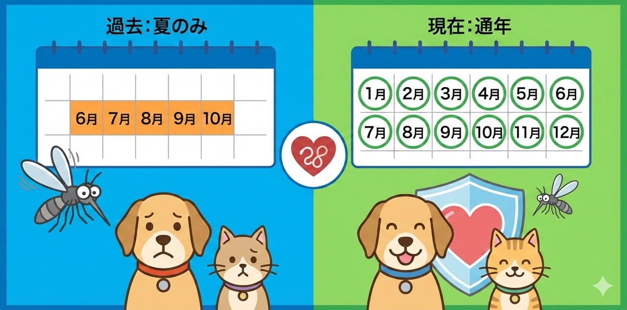 過去は夏だけ（6〜10月）、現在は通年（1〜12月）—フィラリア予防期間の比較イラスト