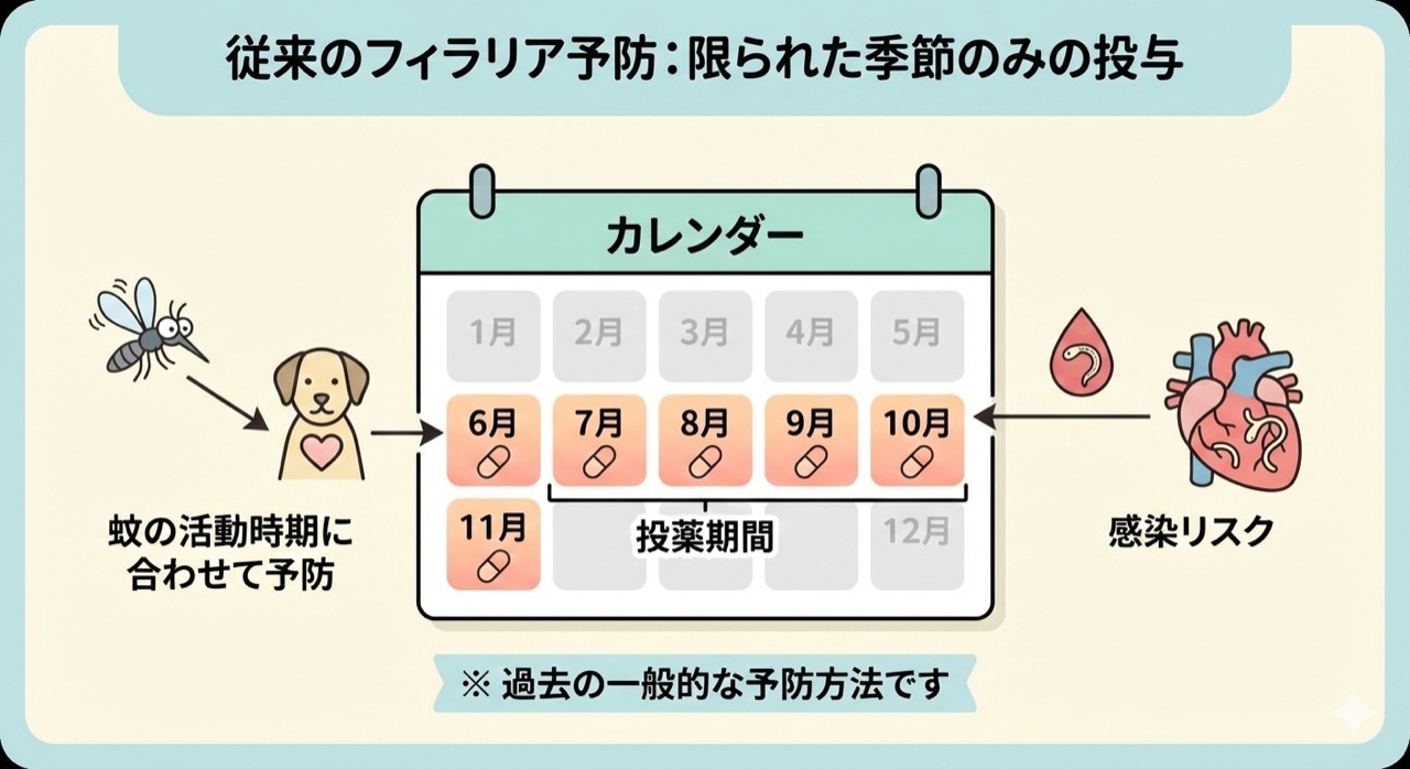従来のフィラリア予防：蚊の活動時期（6〜11月）に合わせた季節限定の投薬カレンダー