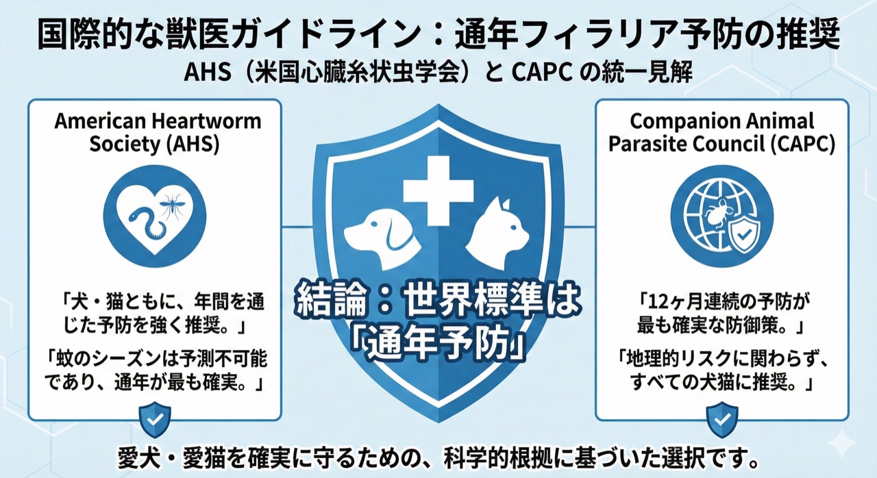 国際的な獣医ガイドライン（AHS・CAPC）が通年フィラリア予防を推奨していることを示す図