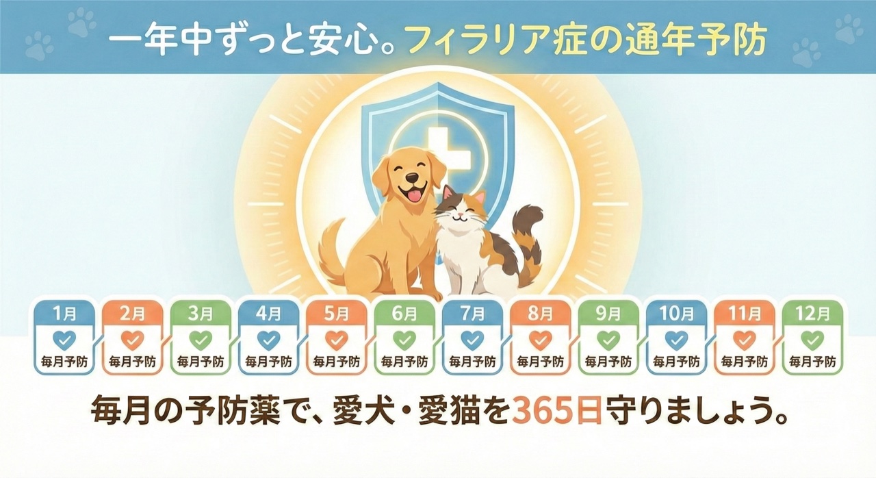 毎月の予防薬で愛犬・愛猫を365日守る、フィラリア通年予防のまとめイラスト