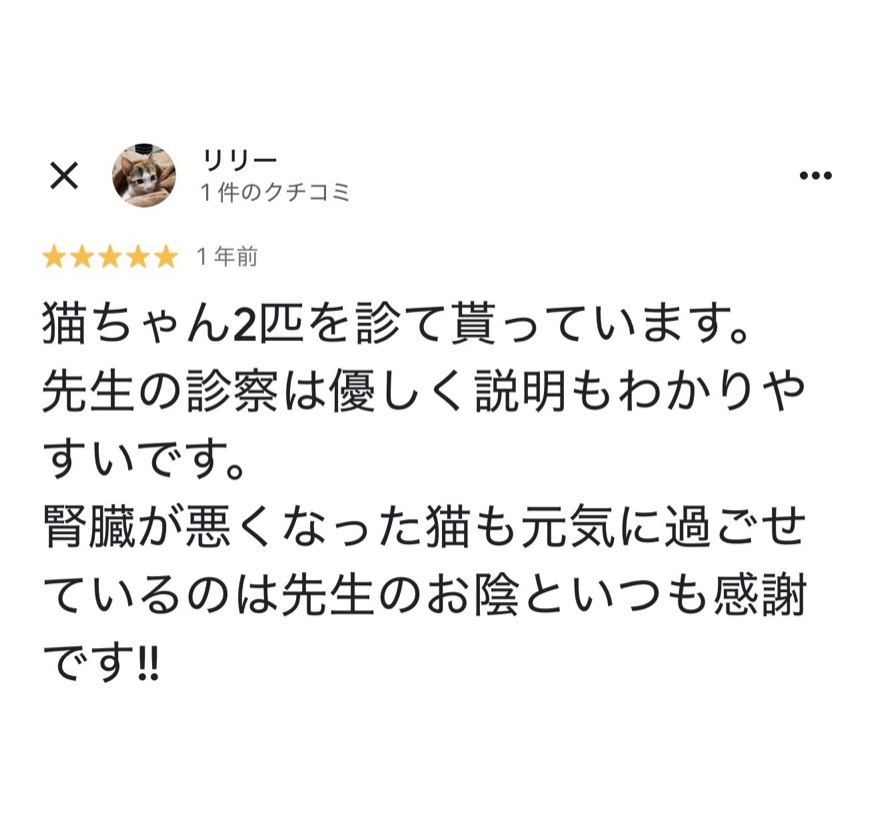 Google口コミ 05